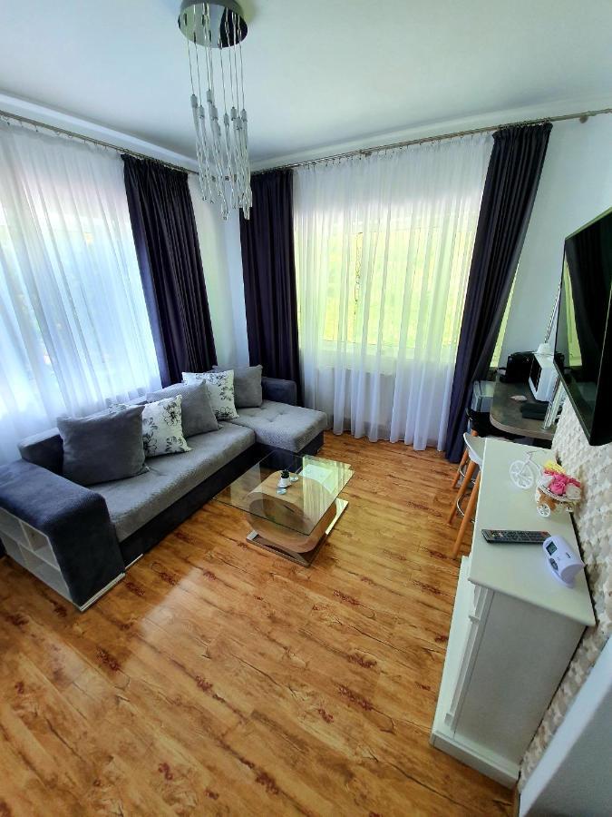 Laura Apartments Sinaia Extérieur photo