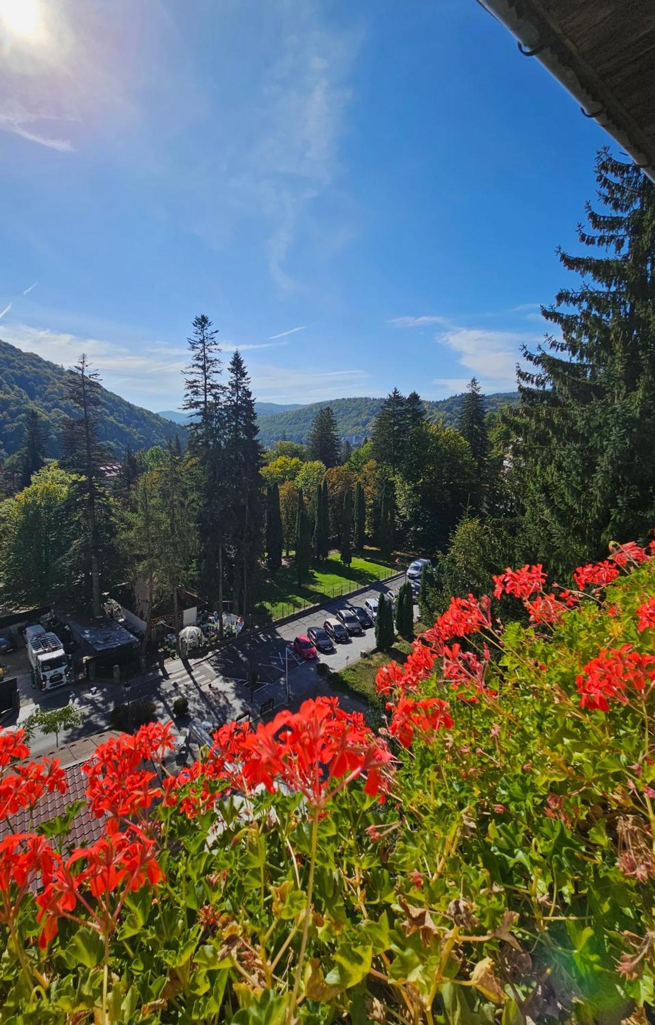 Laura Apartments Sinaia Extérieur photo